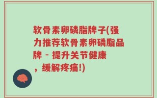 软骨素卵磷脂牌子(强力推荐软骨素卵磷脂品牌 - 提升关节健康，缓解疼痛!)