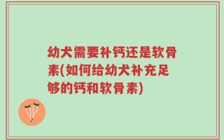 幼犬需要补钙还是软骨素(如何给幼犬补充足够的钙和软骨素)