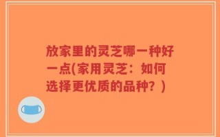 放家里的灵芝哪一种好一点(家用灵芝：如何选择更优质的品种？)