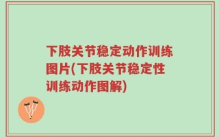 下肢关节稳定动作训练图片(下肢关节稳定性训练动作图解)