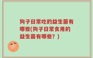 狗子日常吃的益生菌有哪些(狗子日常食用的益生菌有哪些？)