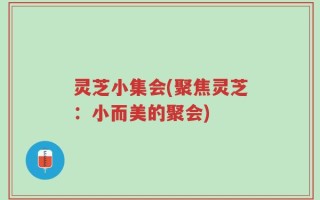 灵芝小集会(聚焦灵芝：小而美的聚会)