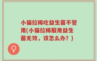 小猫拉稀吃益生菌不管用(小猫拉稀服用益生菌无效，该怎么办？)