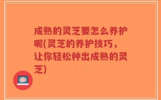 成熟的灵芝要怎么养护呢(灵芝的养护技巧，让你轻松种出成熟的灵芝)