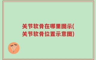 关节软骨在哪里图示(关节软骨位置示意图)