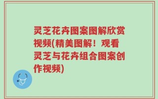 灵芝花卉图案图解欣赏视频(精美图解！观看灵芝与花卉组合图案创作视频)