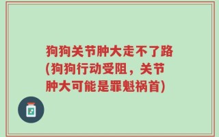 狗狗关节肿大走不了路(狗狗行动受阻，关节肿大可能是罪魁祸首)