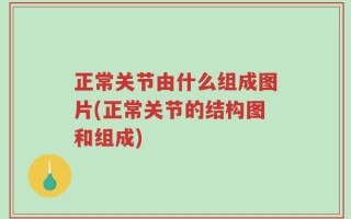 正常关节由什么组成图片(正常关节的结构图和组成)