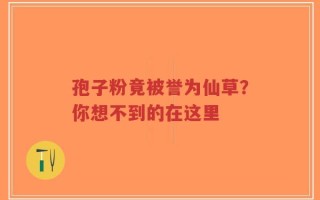 孢子粉竟被誉为仙草？你想不到的在这里
