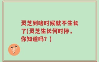 灵芝到啥时候就不生长了(灵芝生长何时停，你知道吗？)