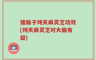 猪脑子炖天麻灵芝功效(炖天麻灵芝对大脑有益)