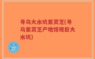 寻乌大水坑紫灵芝(寻乌紫灵芝产地惊现巨大水坑)