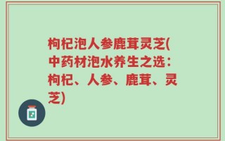 枸杞泡人参鹿茸灵芝(中药材泡水养生之选：枸杞、人参、鹿茸、灵芝)