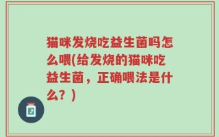 猫咪发烧吃益生菌吗怎么喂(给发烧的猫咪吃益生菌，正确喂法是什么？)