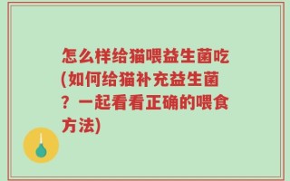 怎么样给猫喂益生菌吃(如何给猫补充益生菌？一起看看正确的喂食方法)
