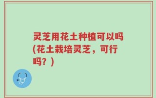 灵芝用花土种植可以吗(花土栽培灵芝，可行吗？)