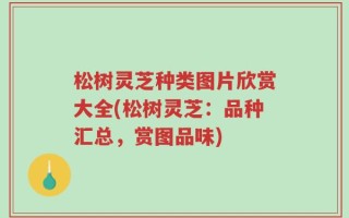松树灵芝种类图片欣赏大全(松树灵芝：品种汇总，赏图品味)
