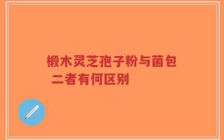 椴木灵芝孢子粉与菌包 二者有何区别