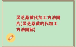 灵芝桑黄代加工方法图片(灵芝桑黄的代加工方法图解)
