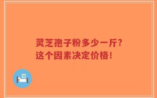 灵芝孢子粉多少一斤?这个因素决定价格！