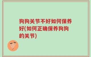 狗狗关节不好如何保养好(如何正确保养狗狗的关节)