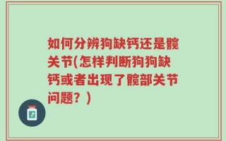 如何分辨狗缺钙还是髋关节(怎样判断狗狗缺钙或者出现了髋部关节问题？)