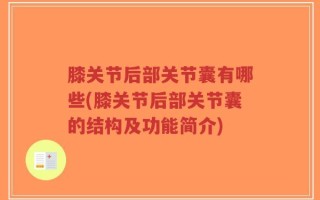 膝关节后部关节囊有哪些(膝关节后部关节囊的结构及功能简介)
