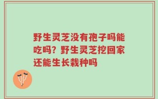 野生灵芝没有孢子吗能吃吗？野生灵芝挖回家还能生长栽种吗