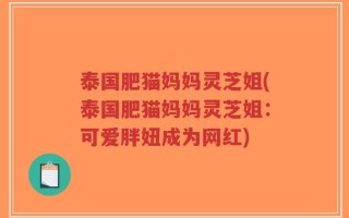 泰国肥猫妈妈灵芝姐(泰国肥猫妈妈灵芝姐：可爱胖妞成为网红)
