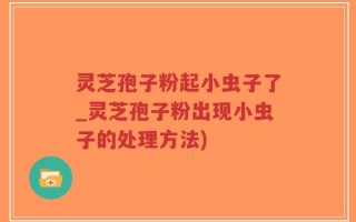 灵芝孢子粉起小虫子了_灵芝孢子粉出现小虫子的处理方法)