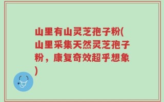 山里有山灵芝孢子粉(山里采集天然灵芝孢子粉，康复奇效超乎想象)