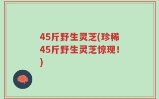 45斤野生灵芝(珍稀45斤野生灵芝惊现！)