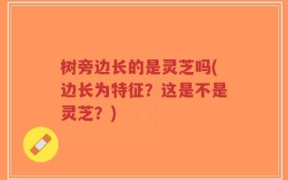 树旁边长的是灵芝吗(边长为特征？这是不是灵芝？)