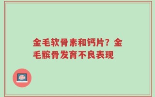 金毛软骨素和钙片？金毛髌骨发育不良表现