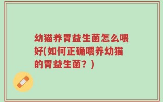 幼猫养胃益生菌怎么喂好(如何正确喂养幼猫的胃益生菌？)