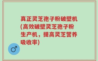 真正灵芝孢子粉破壁机(高效破壁灵芝孢子粉生产机，提高灵芝营养吸收率)