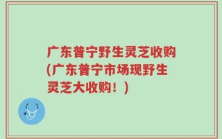 广东普宁野生灵芝收购(广东普宁市场现野生灵芝大收购！)