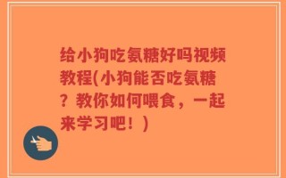 给小狗吃氨糖好吗视频教程(小狗能否吃氨糖？教你如何喂食，一起来学习吧！)