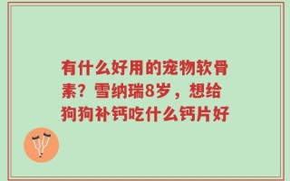 有什么好用的宠物软骨素？雪纳瑞8岁，想给狗狗补钙吃什么钙片好