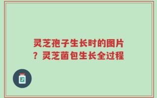 灵芝孢子生长时的图片？灵芝菌包生长全过程
