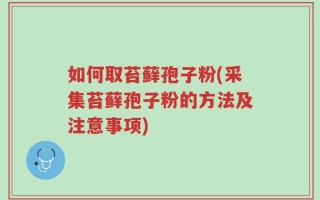 如何取苔藓孢子粉(采集苔藓孢子粉的方法及注意事项)
