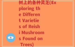 树上的各种灵芝(Exploring the Different Varieties of Reishi Mushrooms Found on Trees)