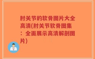 肘关节的软骨图片大全高清(肘关节软骨图集：全面展示高清解剖图片)