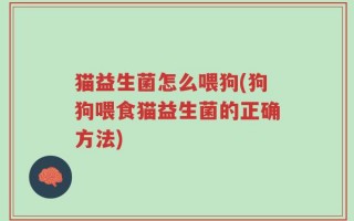 猫益生菌怎么喂狗(狗狗喂食猫益生菌的正确方法)