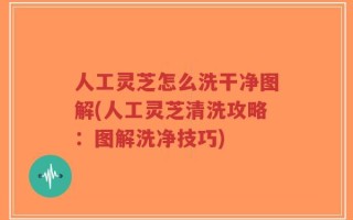 人工灵芝怎么洗干净图解(人工灵芝清洗攻略：图解洗净技巧)