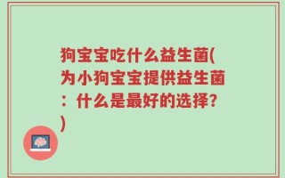 狗宝宝吃什么益生菌(为小狗宝宝提供益生菌：什么是最好的选择？)