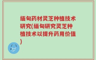 缅甸药材灵芝种植技术研究(缅甸研究灵芝种植技术以提升药用价值)