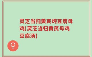灵芝当归黄芪炖豆腐母鸡(灵芝当归黄芪母鸡豆腐汤)