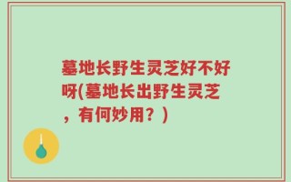 墓地长野生灵芝好不好呀(墓地长出野生灵芝，有何妙用？)