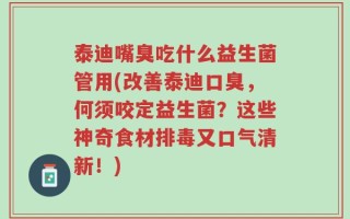 泰迪嘴臭吃什么益生菌管用(改善泰迪口臭，何须咬定益生菌？这些神奇食材排毒又口气清新！)